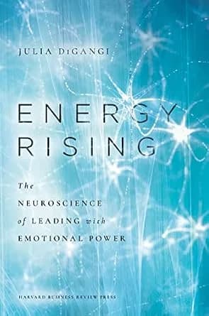 و دانلود نسخه کامل کتاب زبان اصلی Energy Rising: The Neuroscience of Leading with Emotional Power | دانلود کتاب خارجی