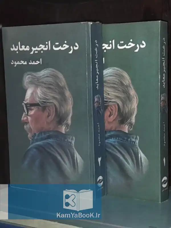 درخت انجیر معابد اثر احمد محمود (شومیز)