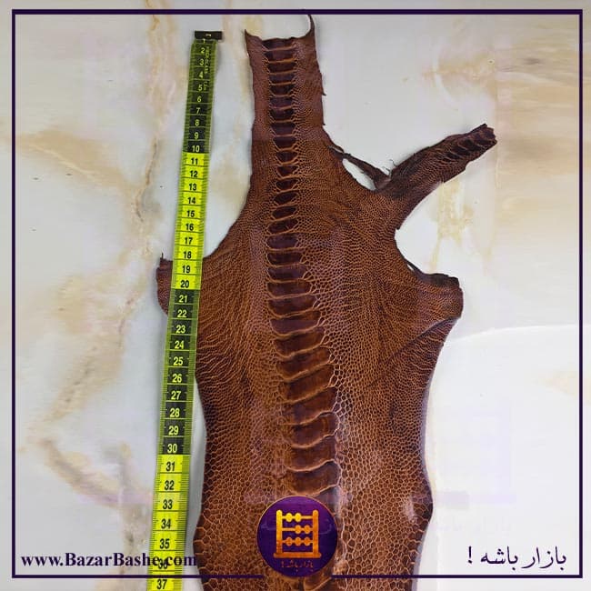 چرم طبیعی ساق پای شترمرغ سورت یک صادراتی رنگ قهوه ای