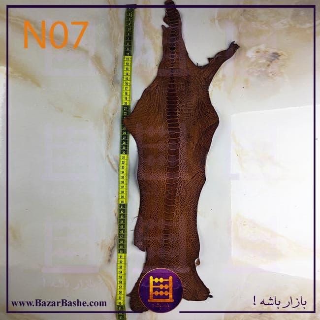 چرم طبیعی ساق پای شترمرغ سورت یک صادراتی رنگ قهوه ای — تصویر ۸