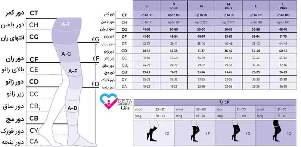 جوراب سیگواریس بالای ران مدل کلاسیکال (TFS2 AG) — تصویر ۳