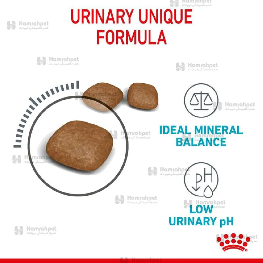 غذای خشک گربه یورینری Urinary Careرویال کنین Royal Canin (فله) — تصویر ۲