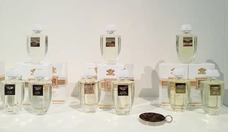 عطر ادکلن کرید سدره بلنک اصل | Creed Acqua Originale Cedre Blanc — تصویر ۵