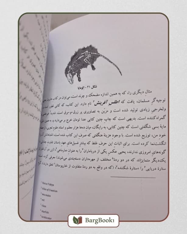 باشکوه ترین نمایش روی زمین (رقعی) — تصویر ۳