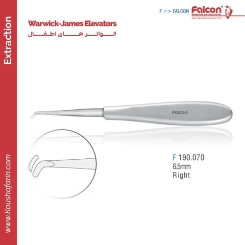 الواتور اطفال Warwick-James ۶.۵ میلی‌متر راست // فالکن