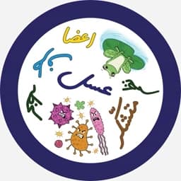بازی فکری زودیاب یادگیری فارسی و ریاضی — تصویر ۴