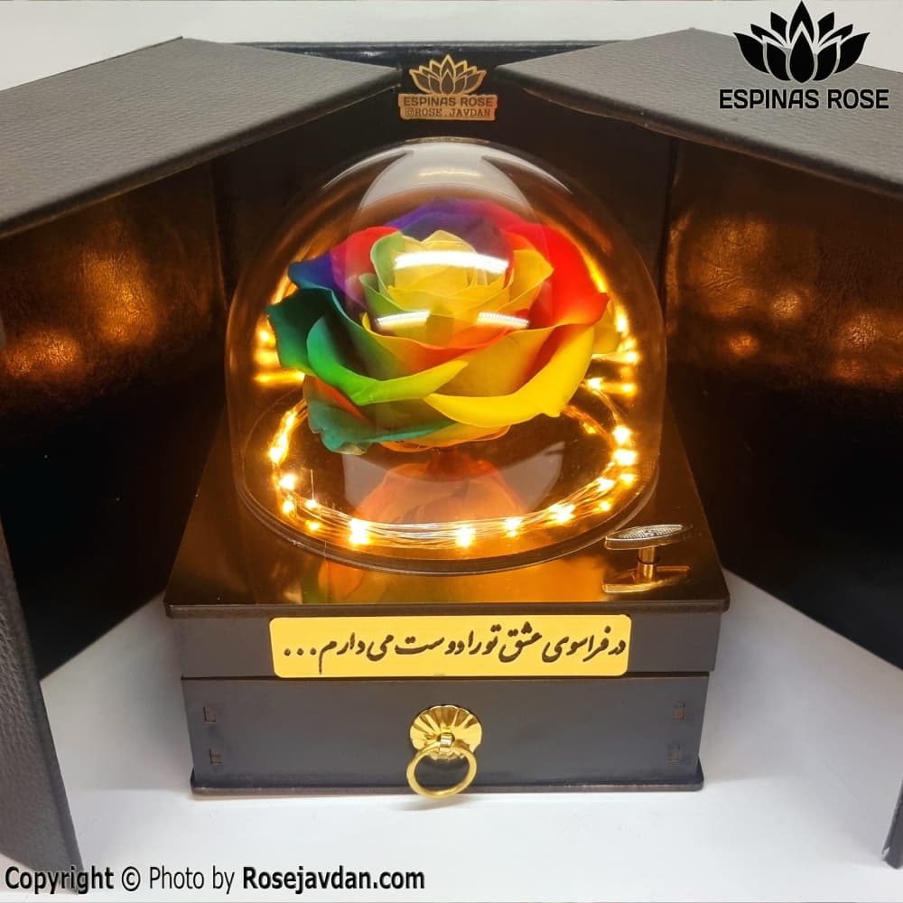 گل رز جاودان سوپرایزی هفت رنگ موزیکال با ریسه — تصویر ۳