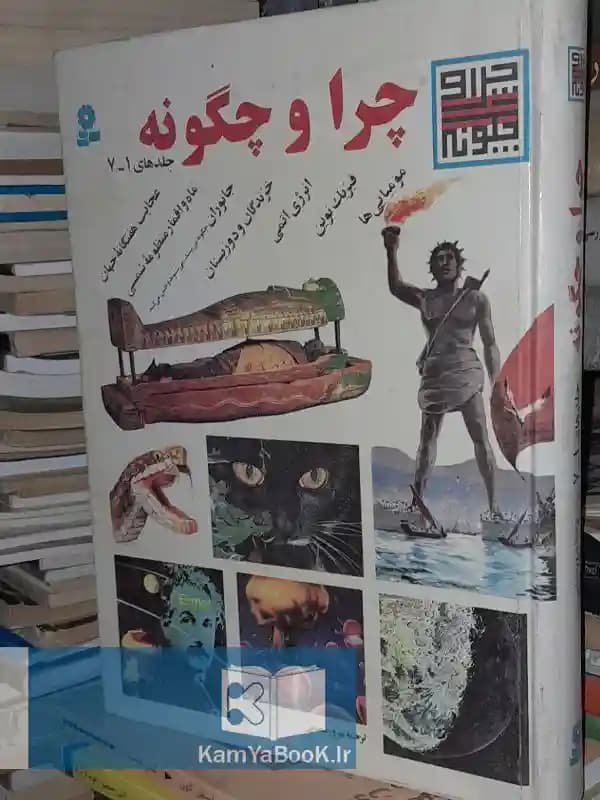 چرا و چگونه (گالینگور مصور)