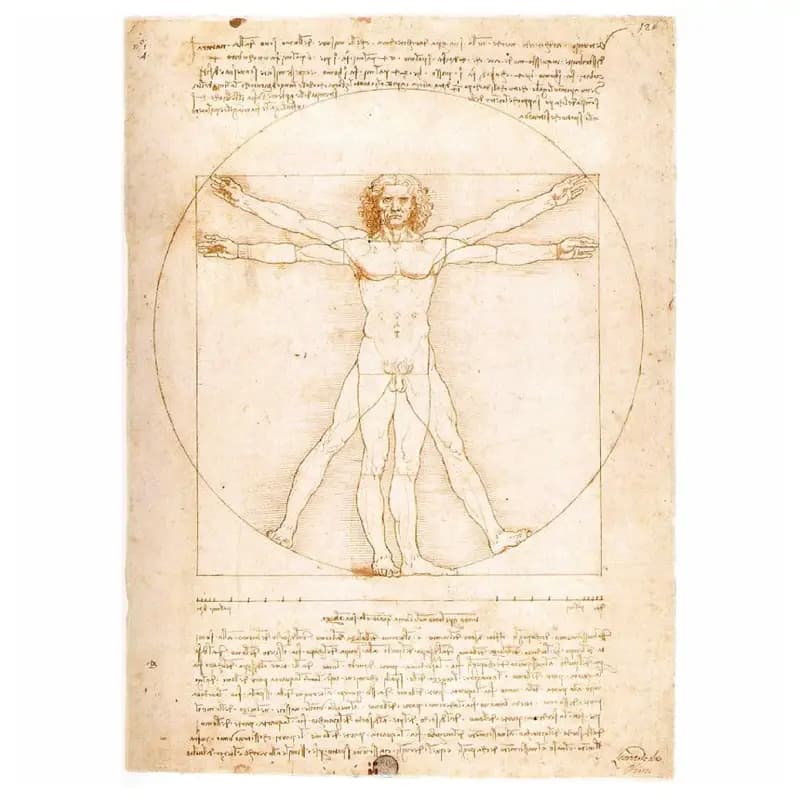 پازل 1000 تكه رونزبرگر طرح PROPORTIONS OF THE HUMAN كد 15250 — تصویر ۲