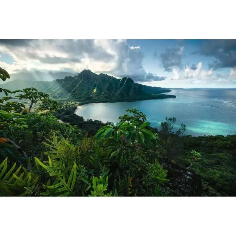 پازل 5000 تكه رونزبرگر طرح hawaiian viewpoint كد 16106 — تصویر ۳