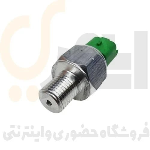 فشنگی هیدرولیک فرمان آبی پژو 206 – ISACO – بیترون (ایتالیا) — تصویر ۳