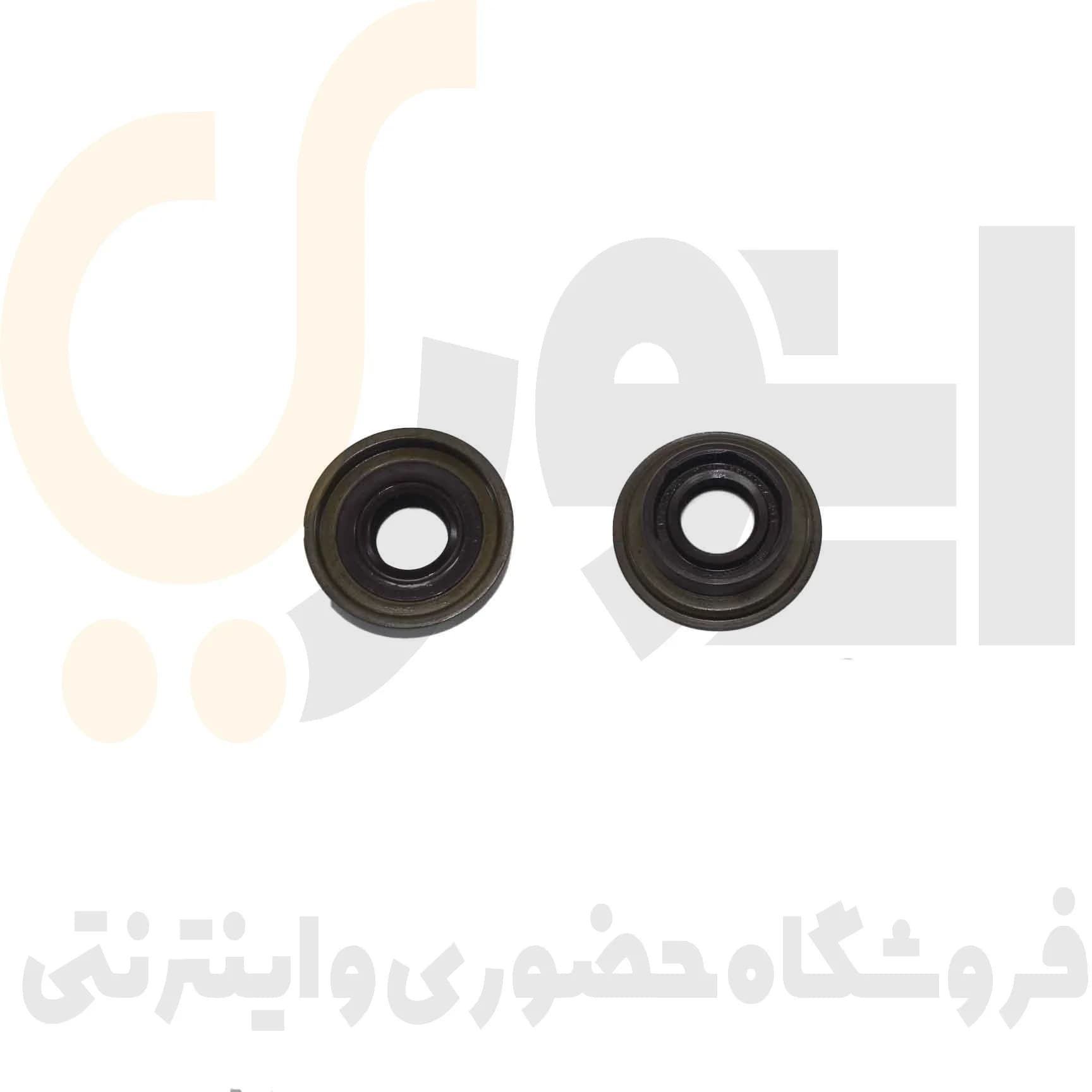 واشر لاستیکی شفت تعویض دنده پژو 405 ویژن (ماهک لبه دار) ویژن