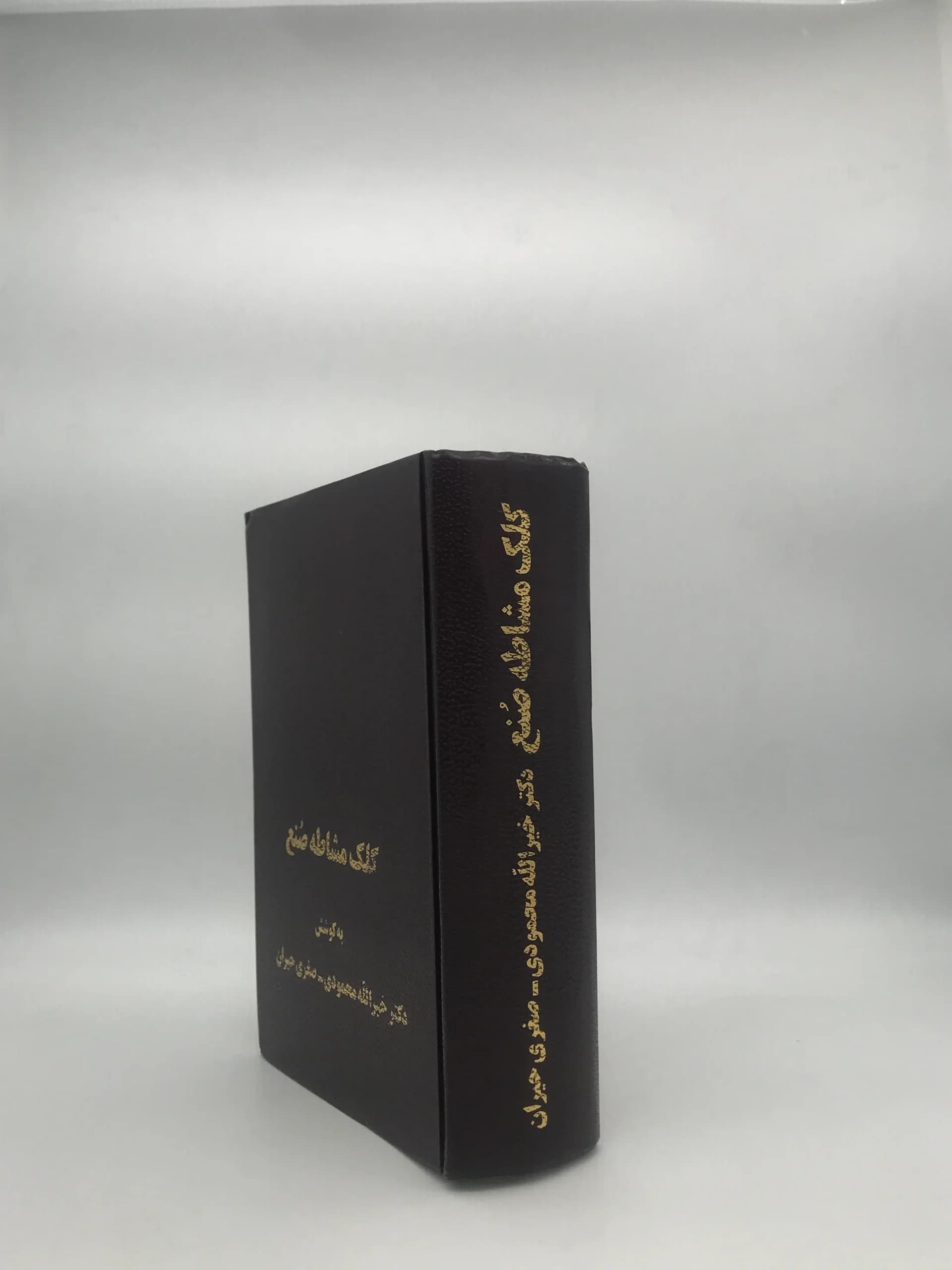کلک مشاطه صنع – بررسی تصاویر در اشعار حافظ — تصویر ۳