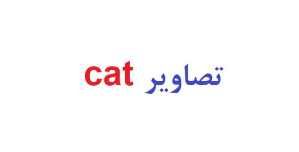 تصاویر cat (آزمون اندريافت كودكان CAT)