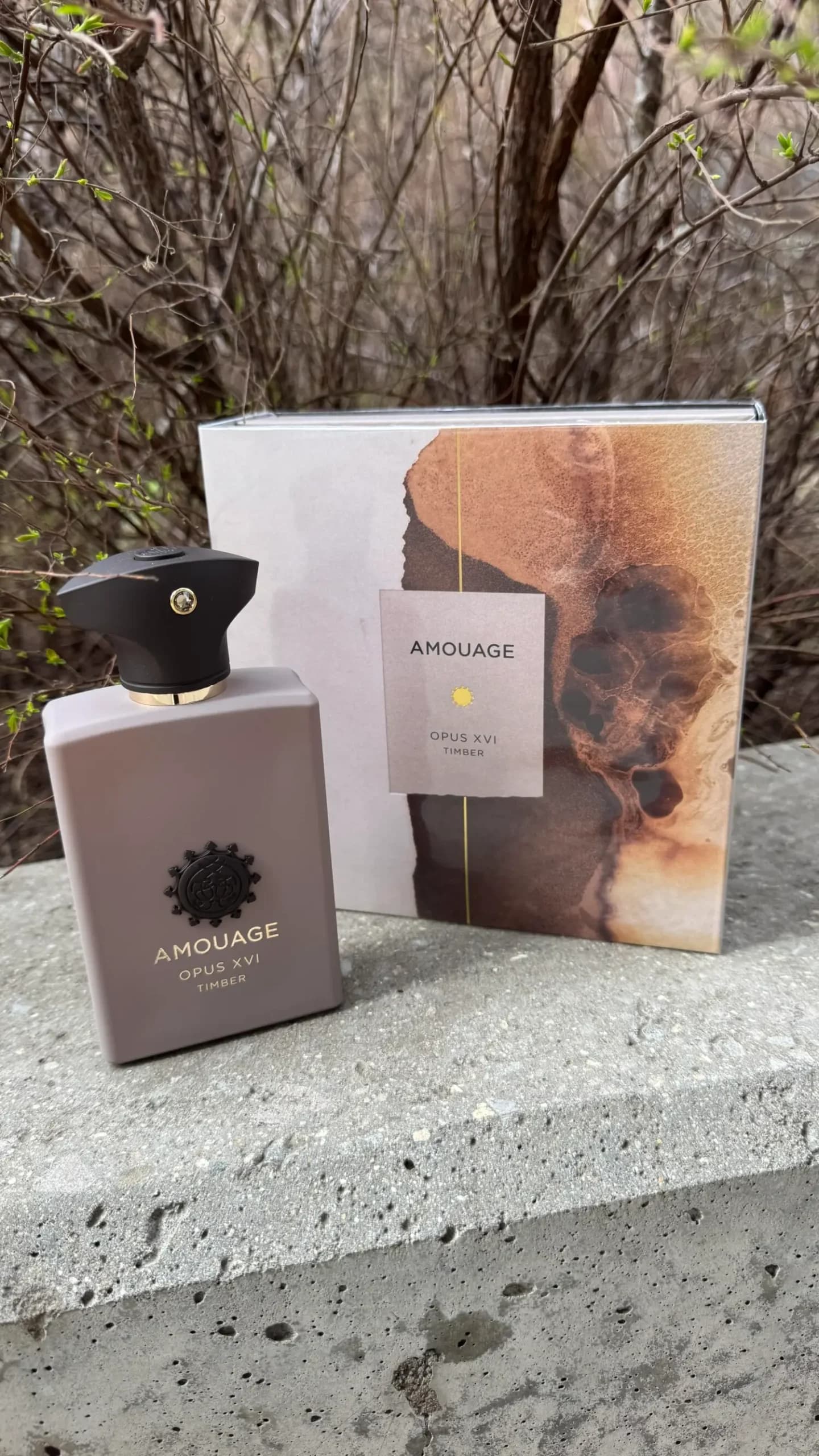 عطر ادکلن آمواج اوپوس شانزده تیمبر اصل | Amouage Opus XVI Timber Silk — تصویر ۵