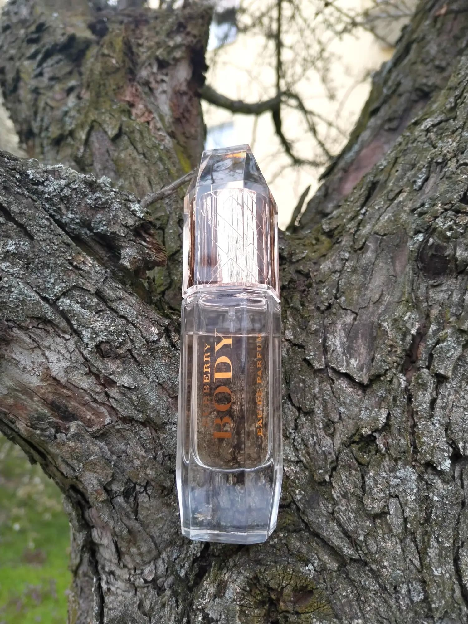 عطر ادکلن باربری بادی زنانه اصل | Burberry Body — تصویر ۷
