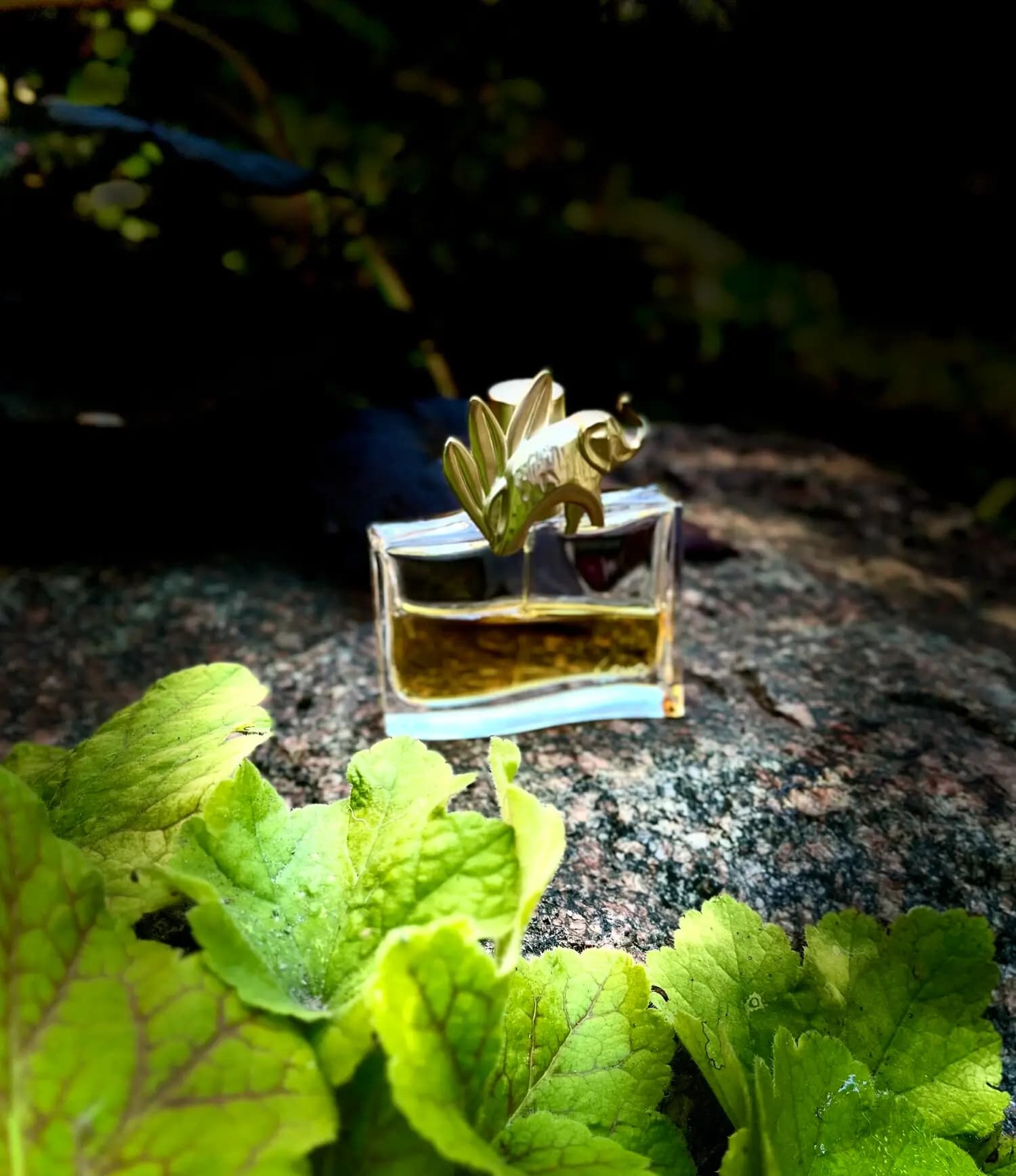 عطر ادکلن کنزو جانگل زنانه ادوپرفیوم اصل | Kenzo Kenzo Jungle L’Elephant — تصویر ۴