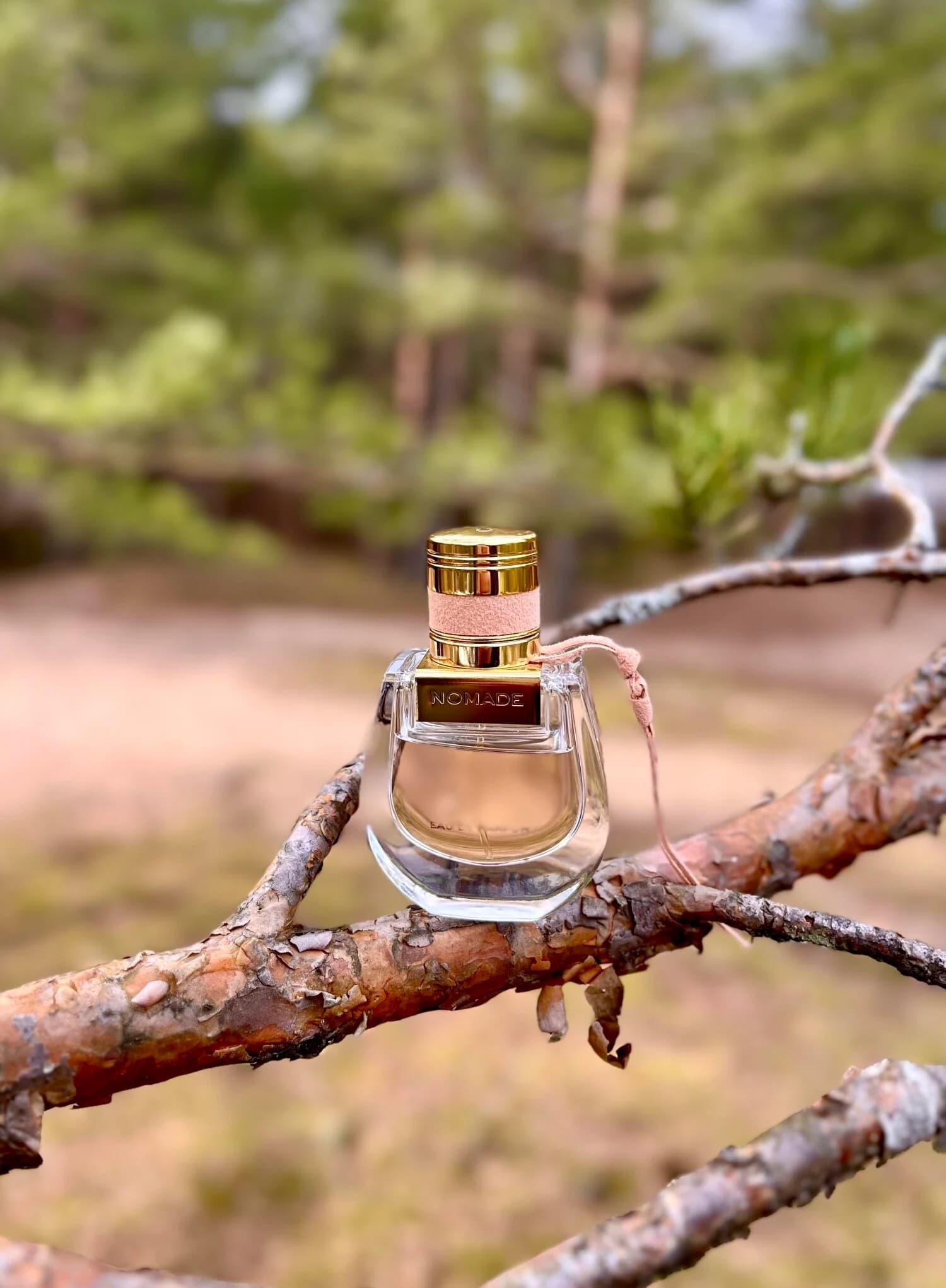 عطر ادکلن کلوهه نومید اصل | Chloé Nomade — تصویر ۵
