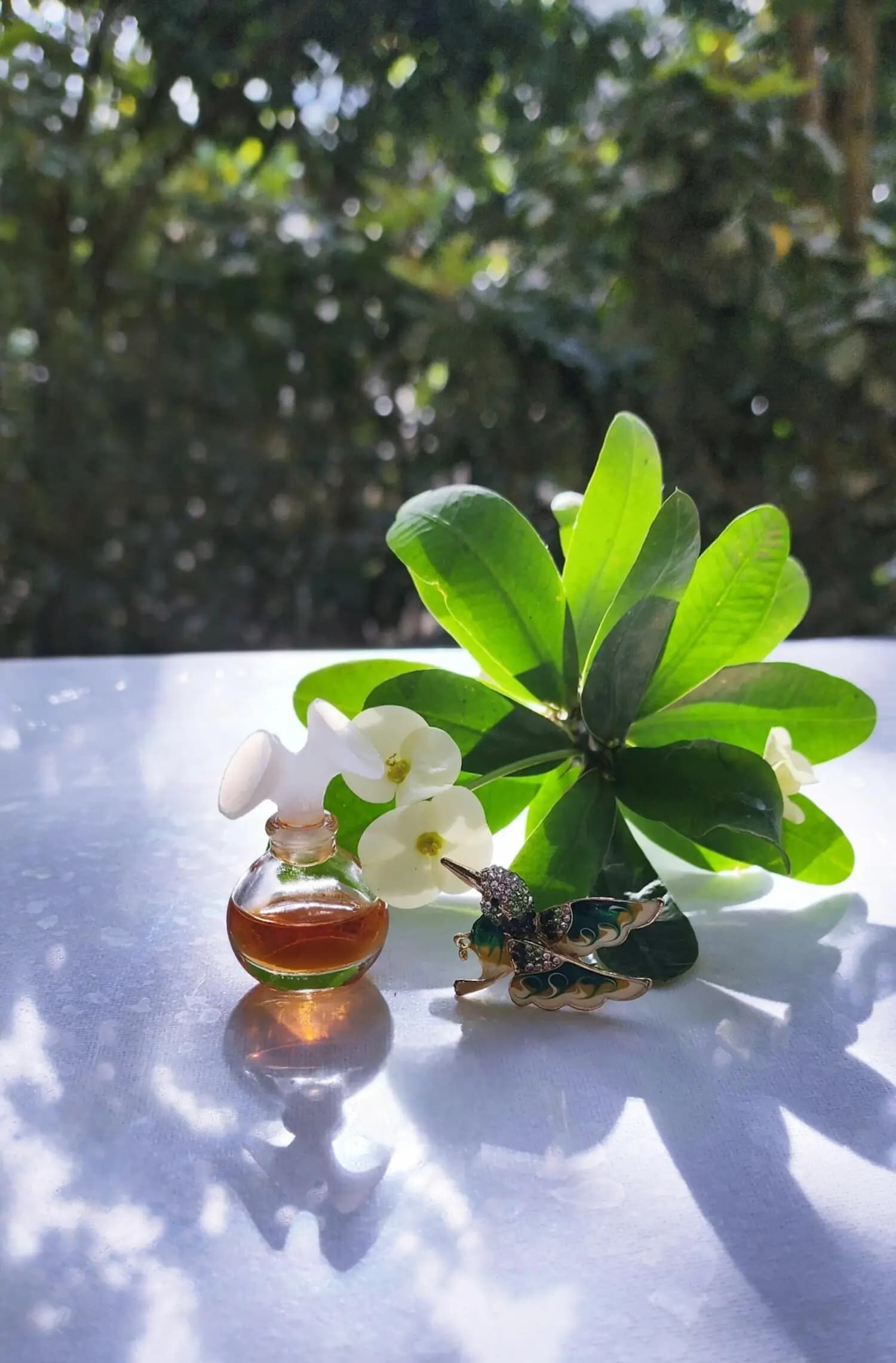 عطر ادکلن کلوهه پارفیوم کلوهه زنانه اصل | Chloé Chloé — تصویر ۷