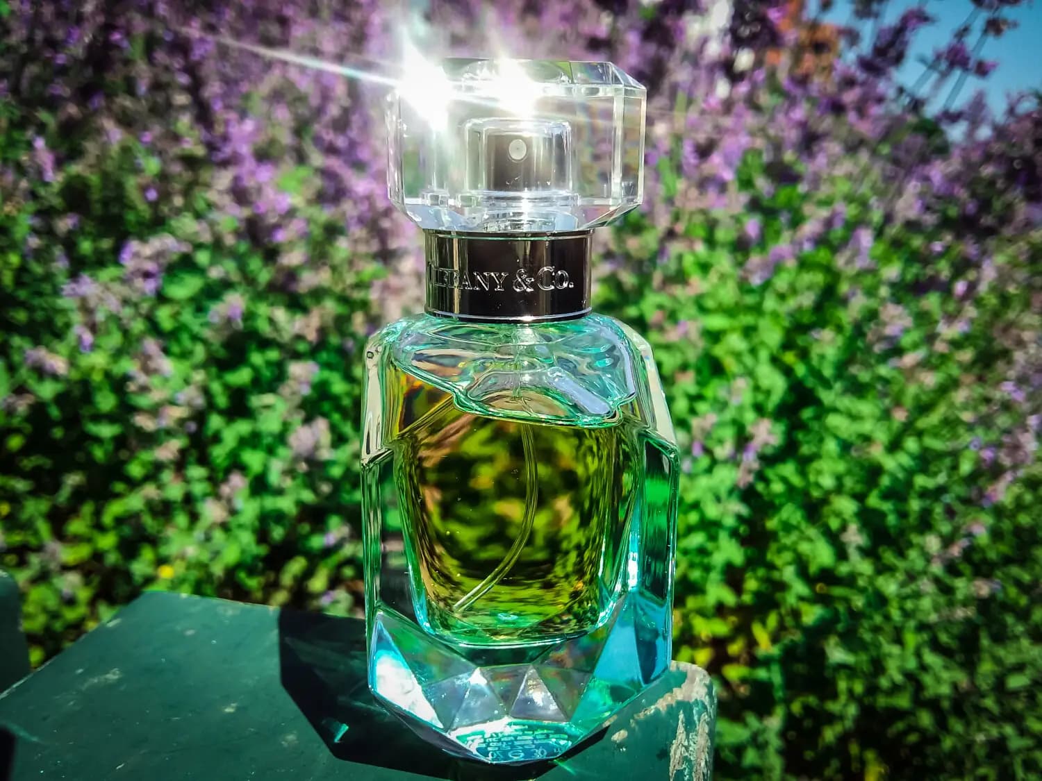 عطر ادکلن تیفانی تیفانی اند کو اینتنس اصل | Tiffany & Co Intense Tiffany — تصویر ۵