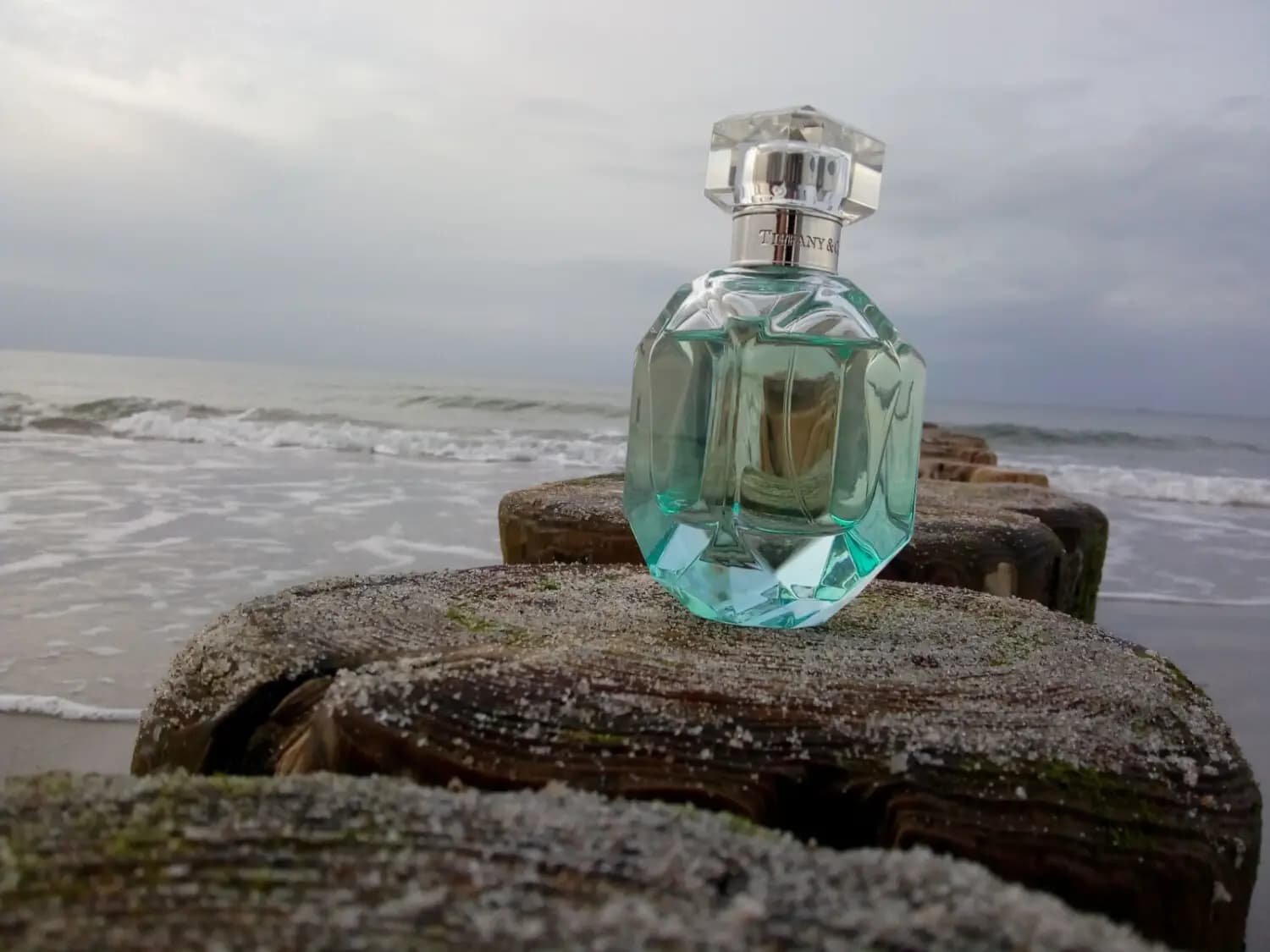 عطر ادکلن تیفانی تیفانی اند کو اینتنس اصل | Tiffany & Co Intense Tiffany — تصویر ۴