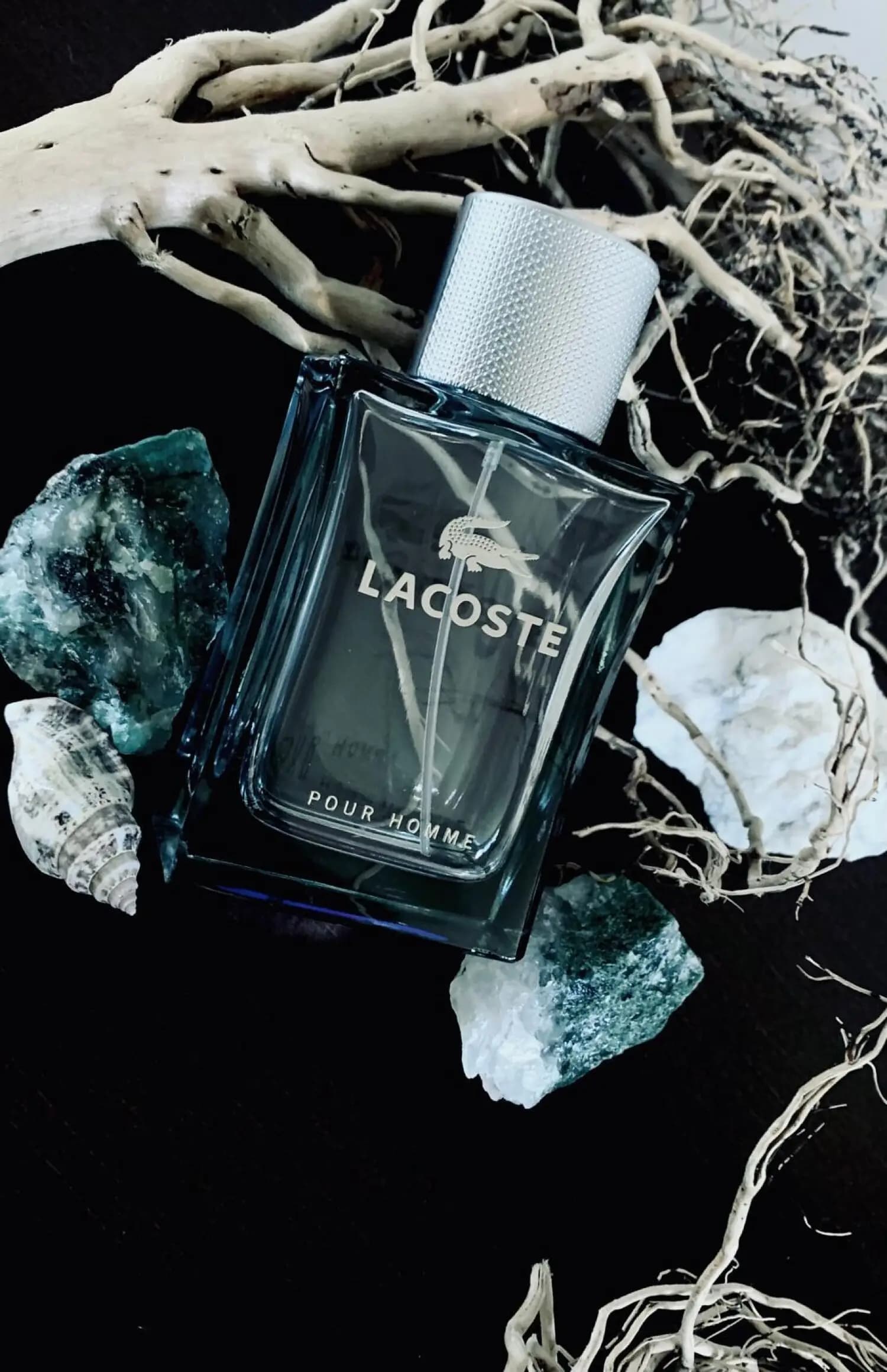 عطر ادکلن لاگوست پور هوم اصل | Lacoste Pour Homme — تصویر ۴
