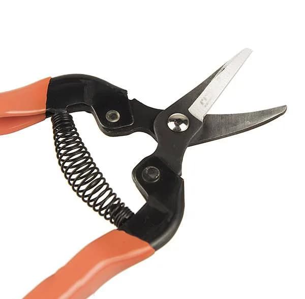 قیچی میوه چین بهکو مدل BP-1651 کد 7341 — تصویر ۳