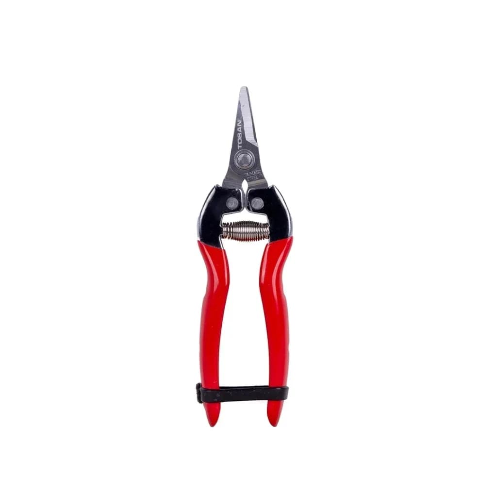 قیچی میوه چین سرکج کوتاه توسن مدل T5500 سایز 6.5 اینچ
