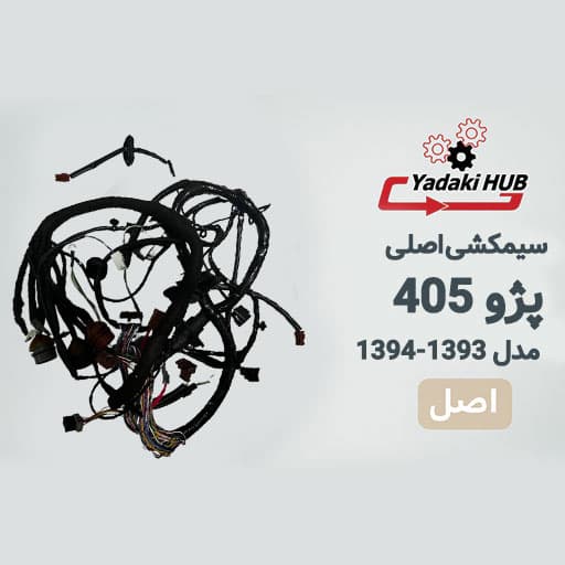 سیم‌کشی اصلی پژو 405 | دسته سیم شاسی | با سیستم ABS MG80