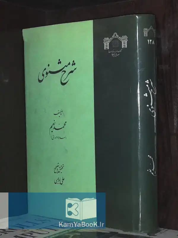 شرح مثنوی اثر محمد نعیم