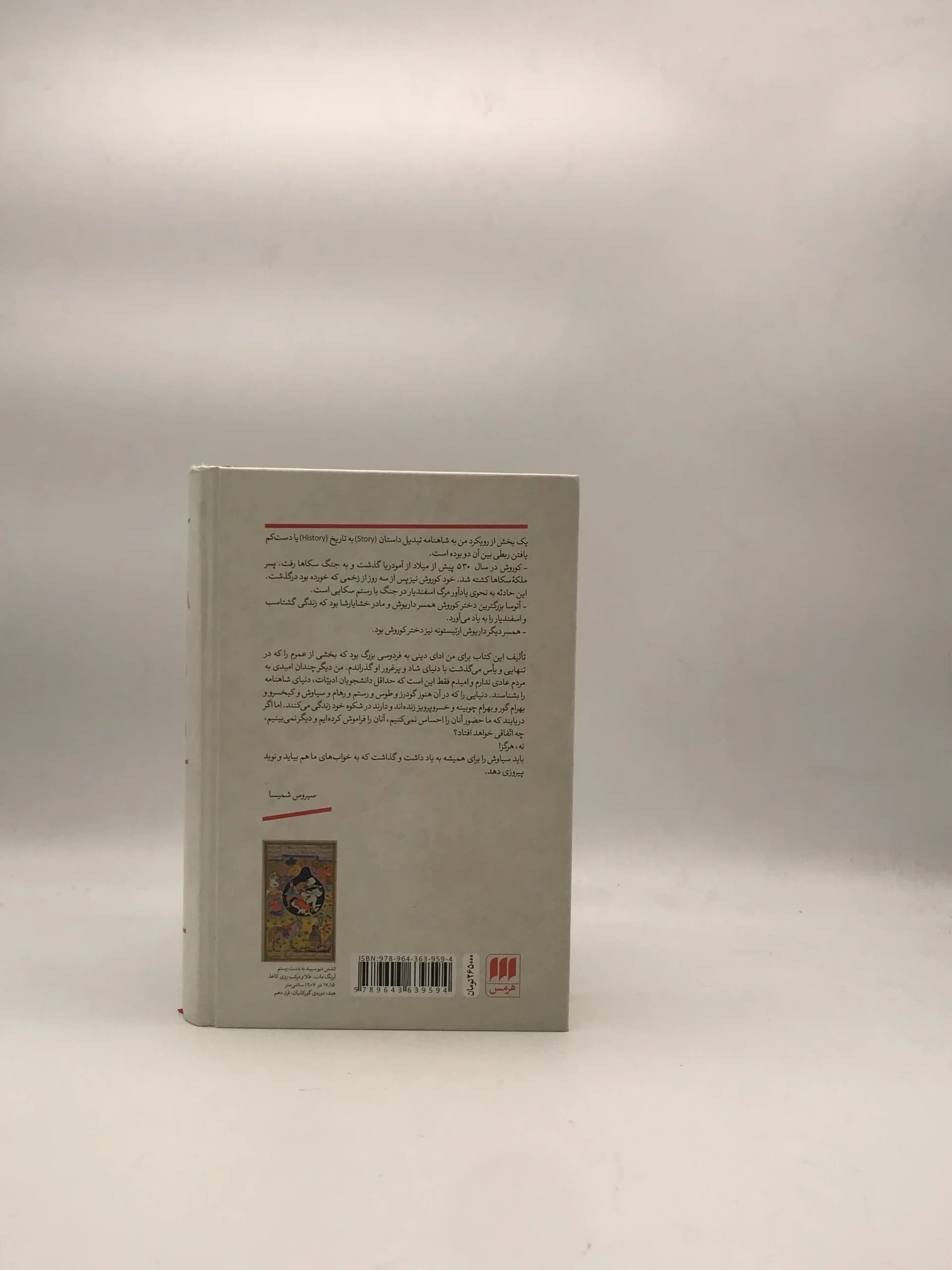 شاه‌نامه‌ها نوشته سیروس شمیسا از نشر هرمس — تصویر ۲