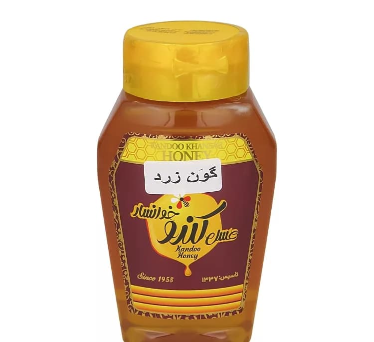 عسل گون زرد کندو خوانسار وزن 500 گرم