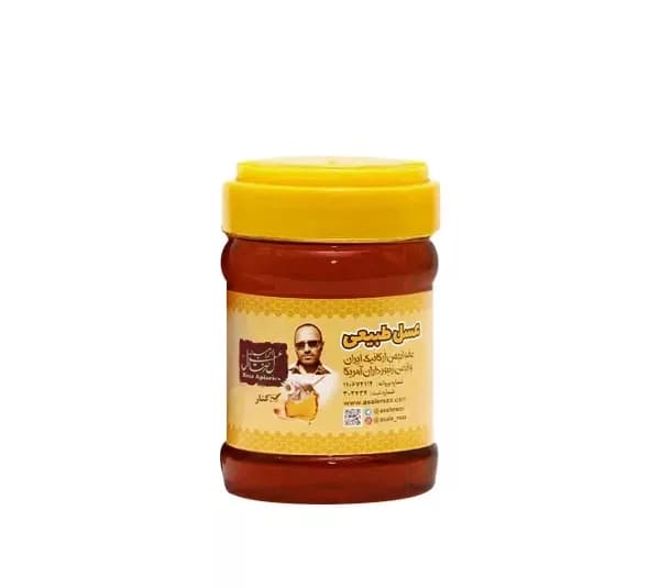 عسل کنار طبیعی سدر فارس رضا وزن 470 گرم