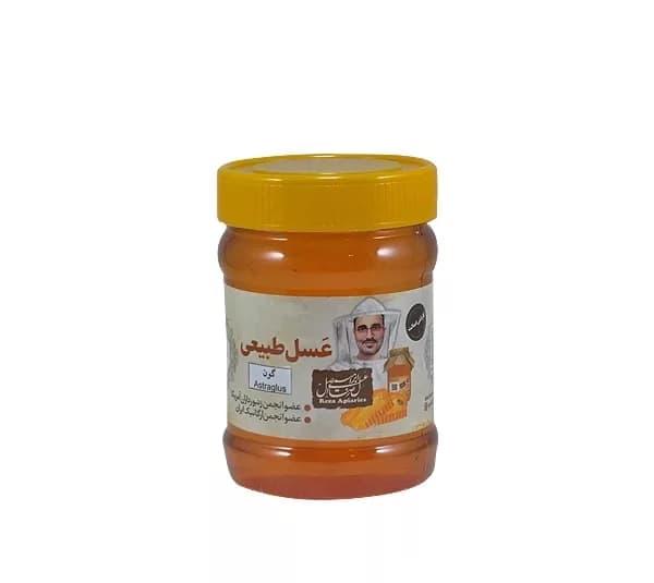 عسل گون طبیعی رضا وزن 470 گرم