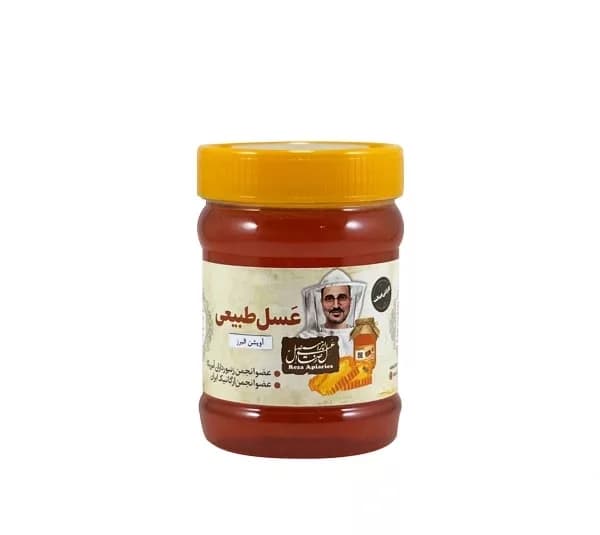 عسل آویشن طبیعی البرز رضا وزن 470 گرم