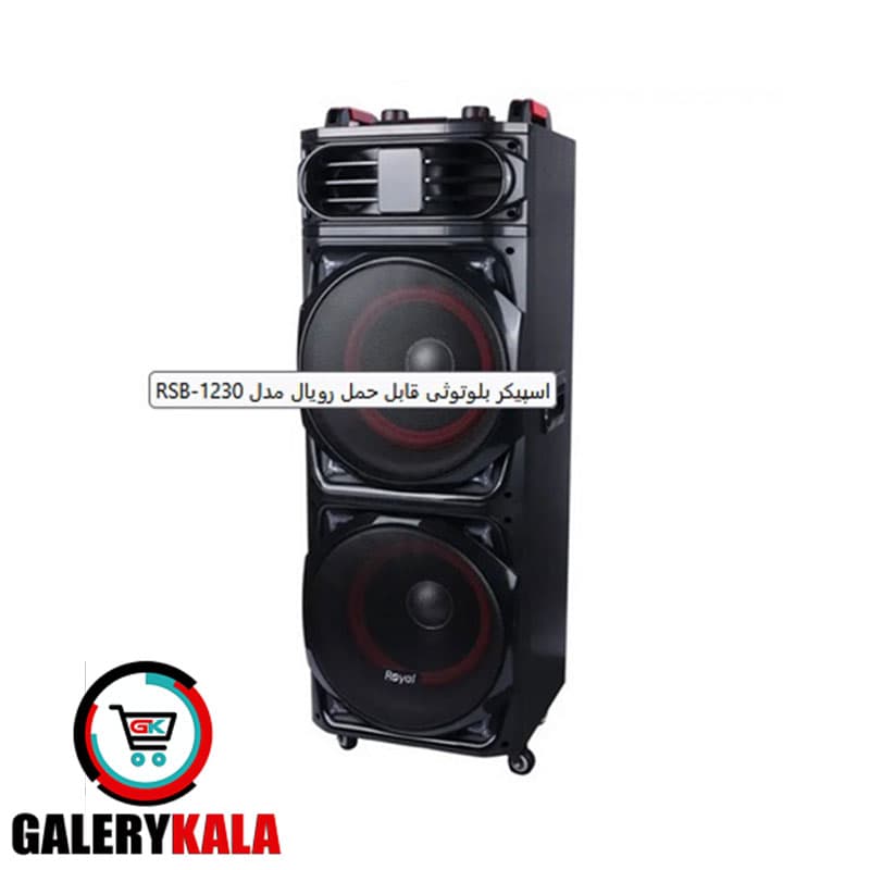 اسپیکر پارتی باکس رویال مدل RSP-1230 — تصویر ۲