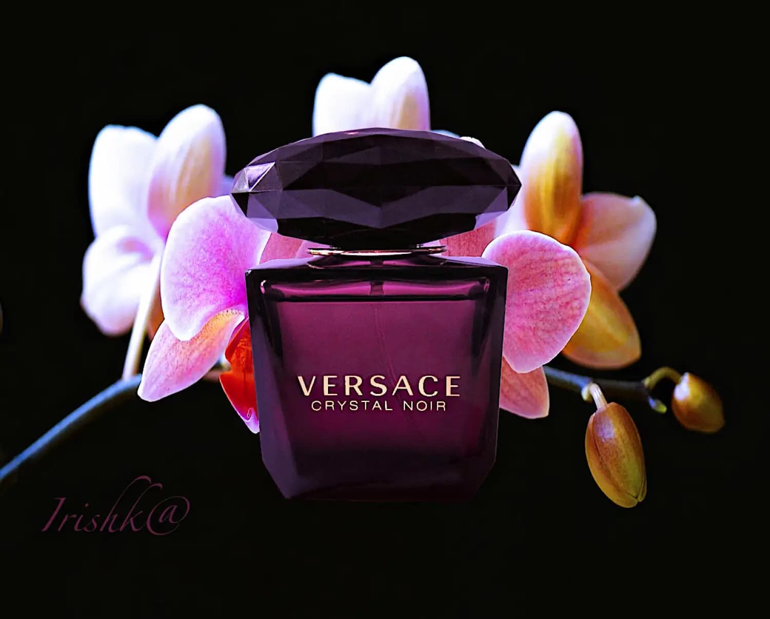 عطر ادکلن ورساچه کریستال نویر ادو تویلت اصل | Versace Crystal Noir Eau de Toilette — تصویر ۴