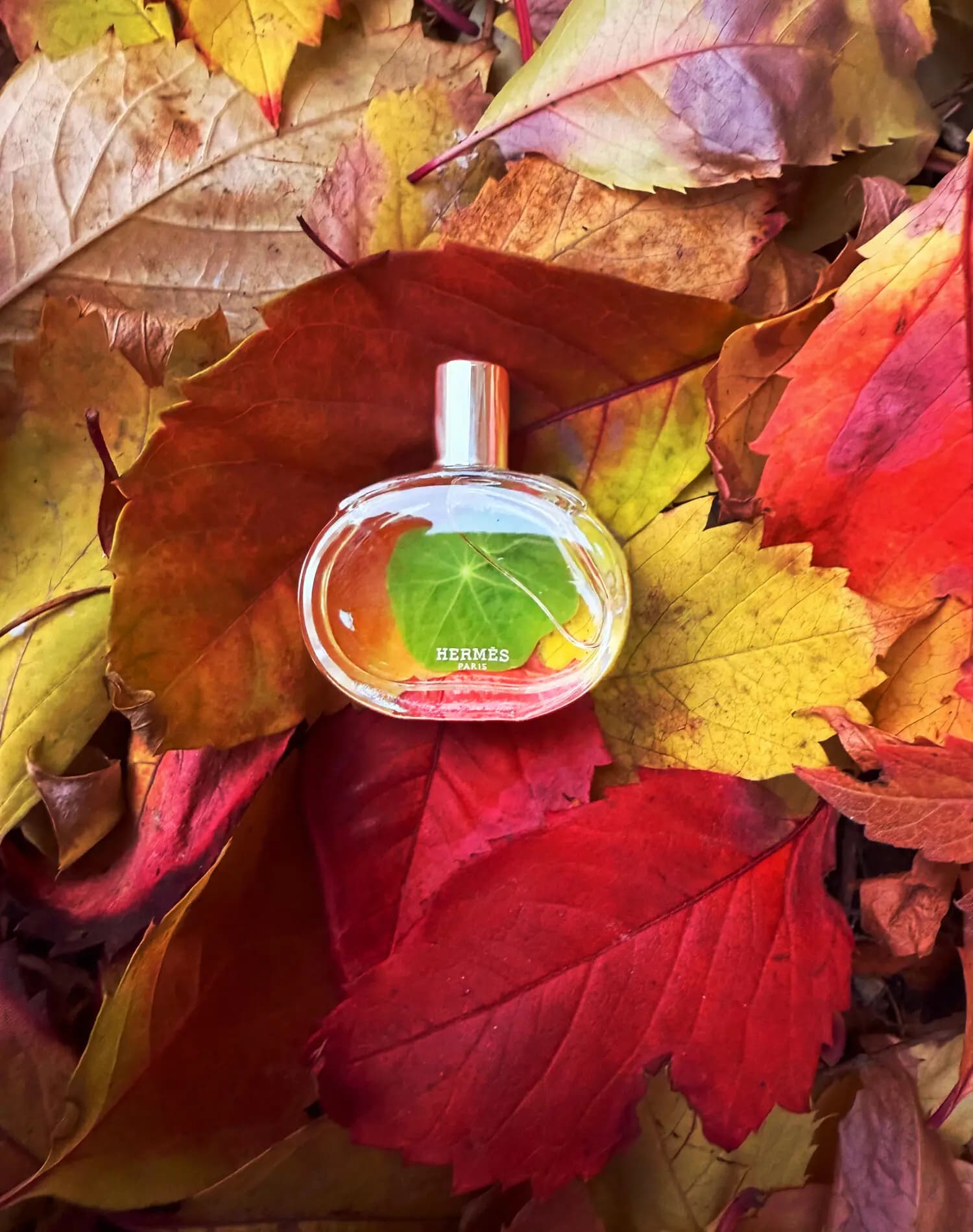عطر ادکلن هرمس بارنیا اصل | Hermès Barénia — تصویر ۵