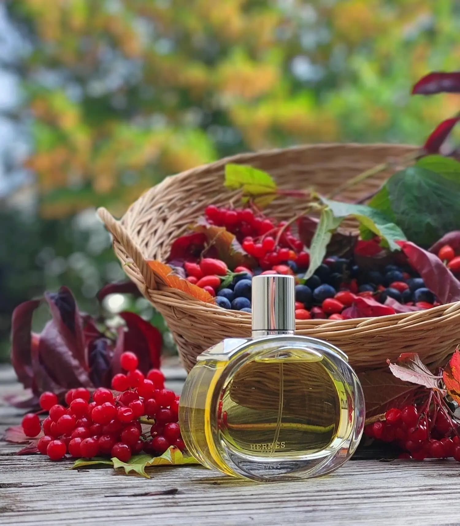 عطر ادکلن هرمس بارنیا اصل | Hermès Barénia — تصویر ۷