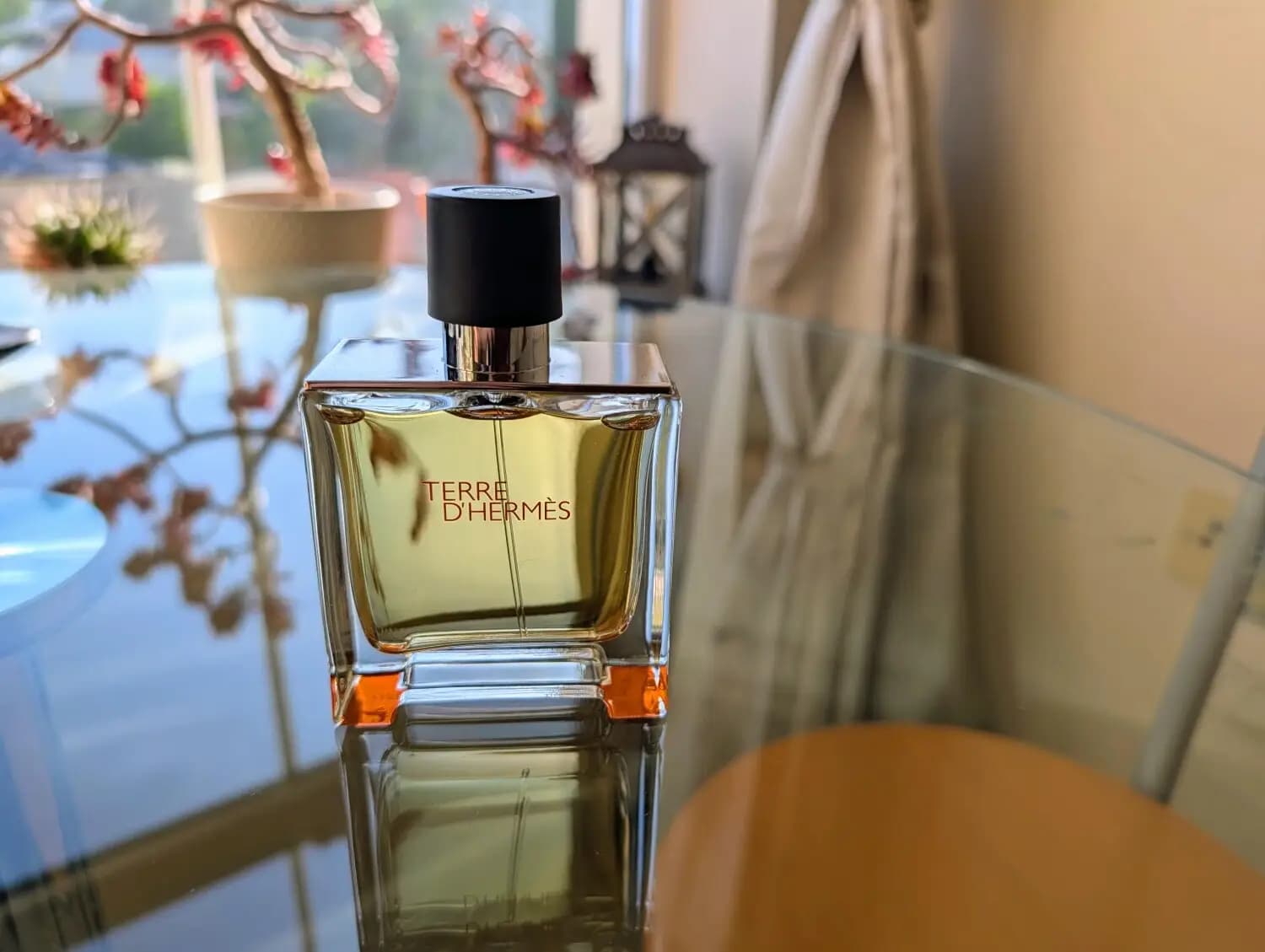 عطر ادکلن هرمس تق پرفیوم اصل | Hermès Terre d’Hermès Parfum 200 ml — تصویر ۴
