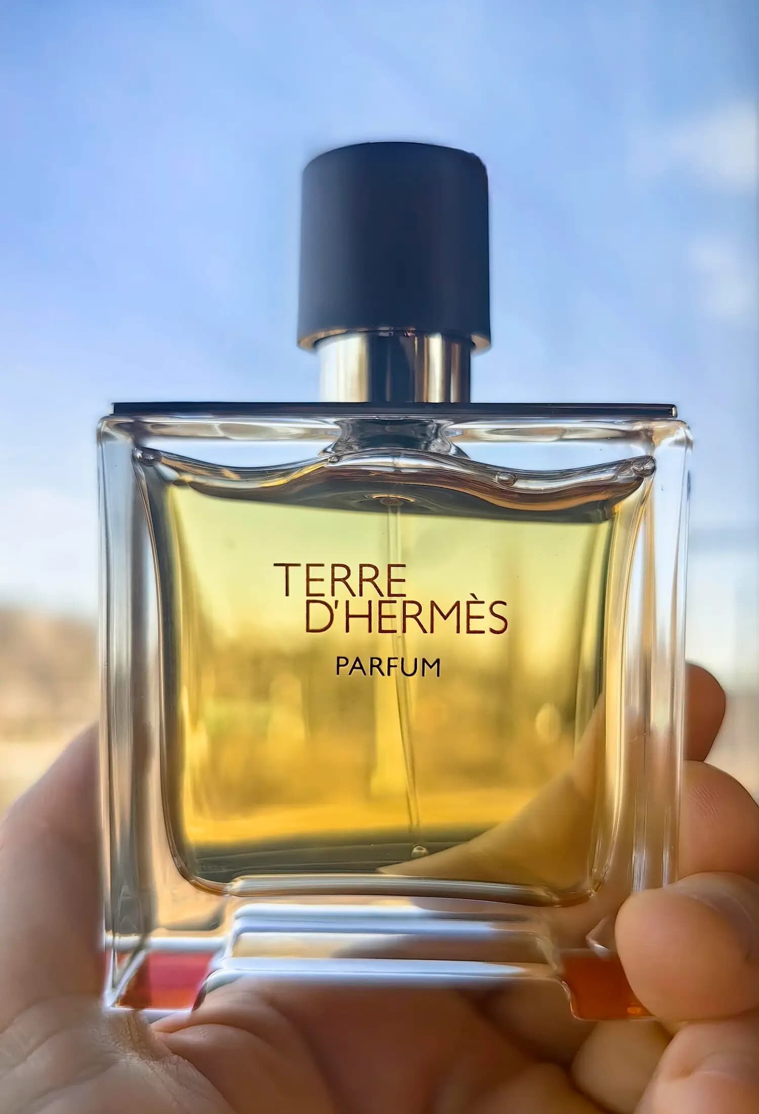عطر ادکلن هرمس تق پرفیوم اصل | Hermès Terre d’Hermès Parfum 200 ml — تصویر ۷
