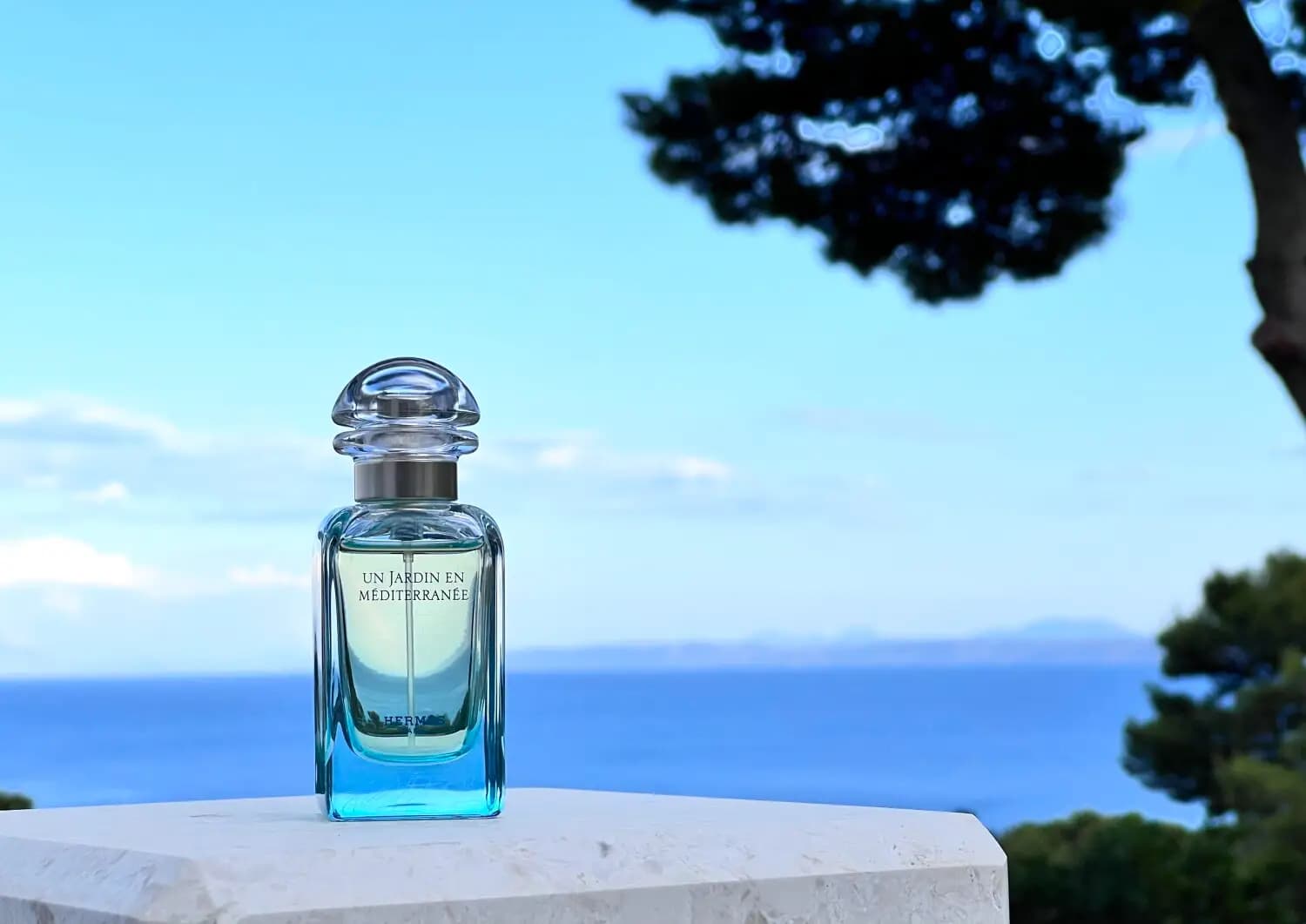 عطر ادکلن هرمس ن جاردین این مدیترانه اصل | Hermès Un Jardin en Méditerranée — تصویر ۷