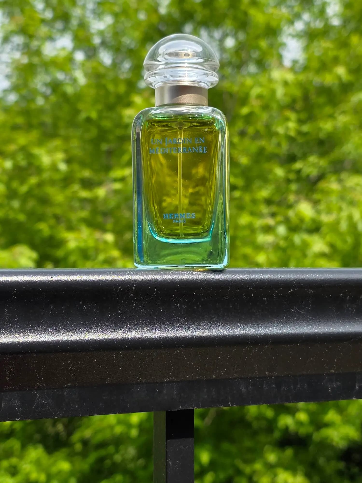 عطر ادکلن هرمس ن جاردین این مدیترانه اصل | Hermès Un Jardin en Méditerranée — تصویر ۴