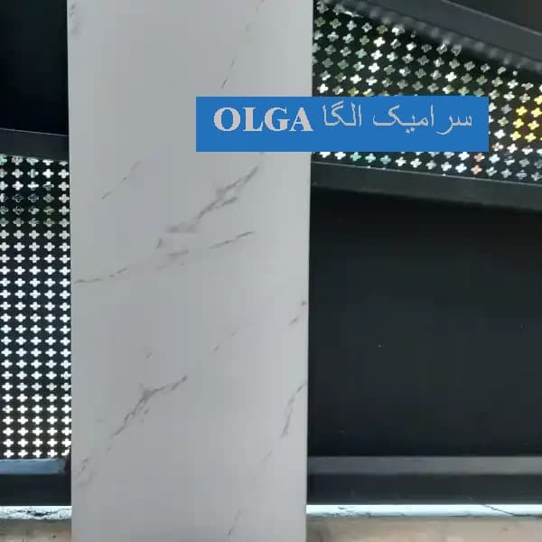 سرامیک 60*30 دیواری مخصوص سرویس های بهداشتی برندOLGAZENTO