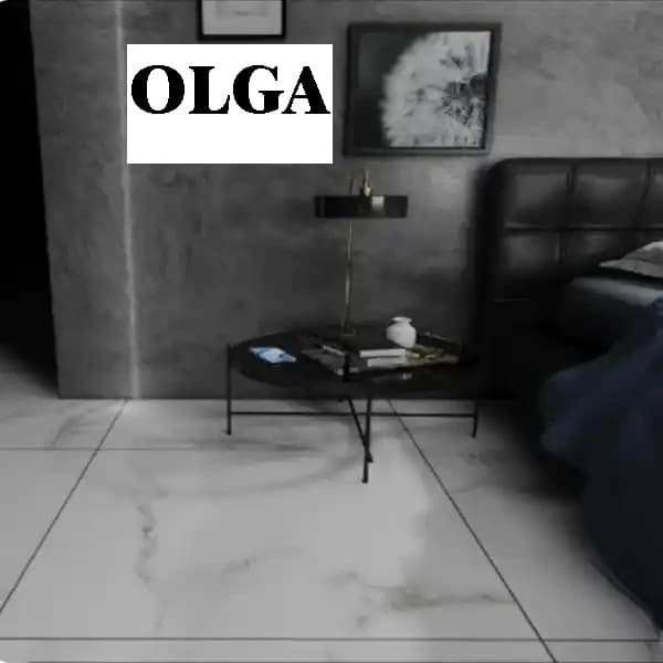 سرامیک طرح کلکته-برندOLGAZENTO — تصویر ۳