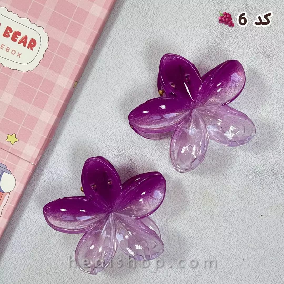 کلیپس پلومریای شفاف پینترستی — تصویر ۷