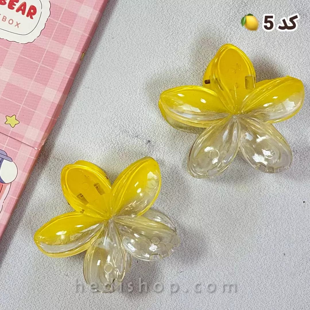 کلیپس پلومریای شفاف پینترستی — تصویر ۶