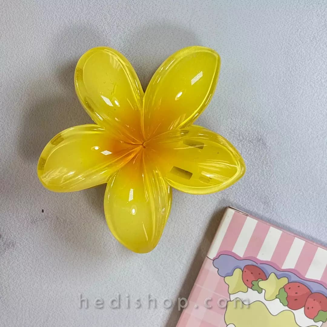 کلیپس پلومریای پینترستی سایز بزرگ با ۱۲ رنگ ترند — تصویر ۳