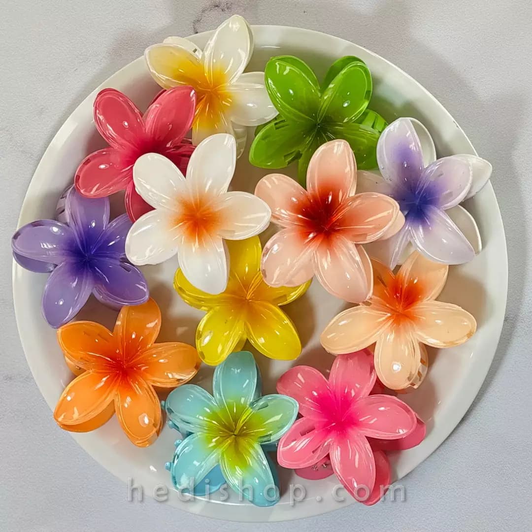 کلیپس پلومریای پینترستی سایز بزرگ با ۱۲ رنگ ترند