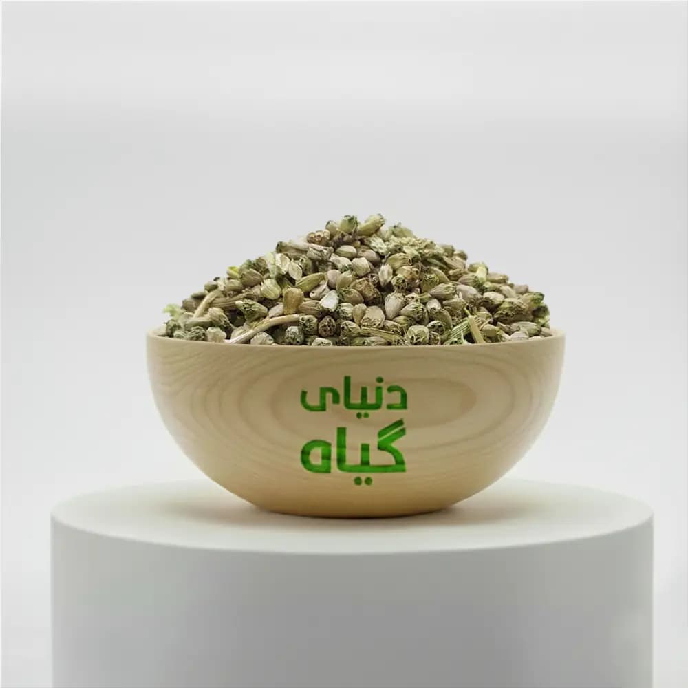 تخم کنگر